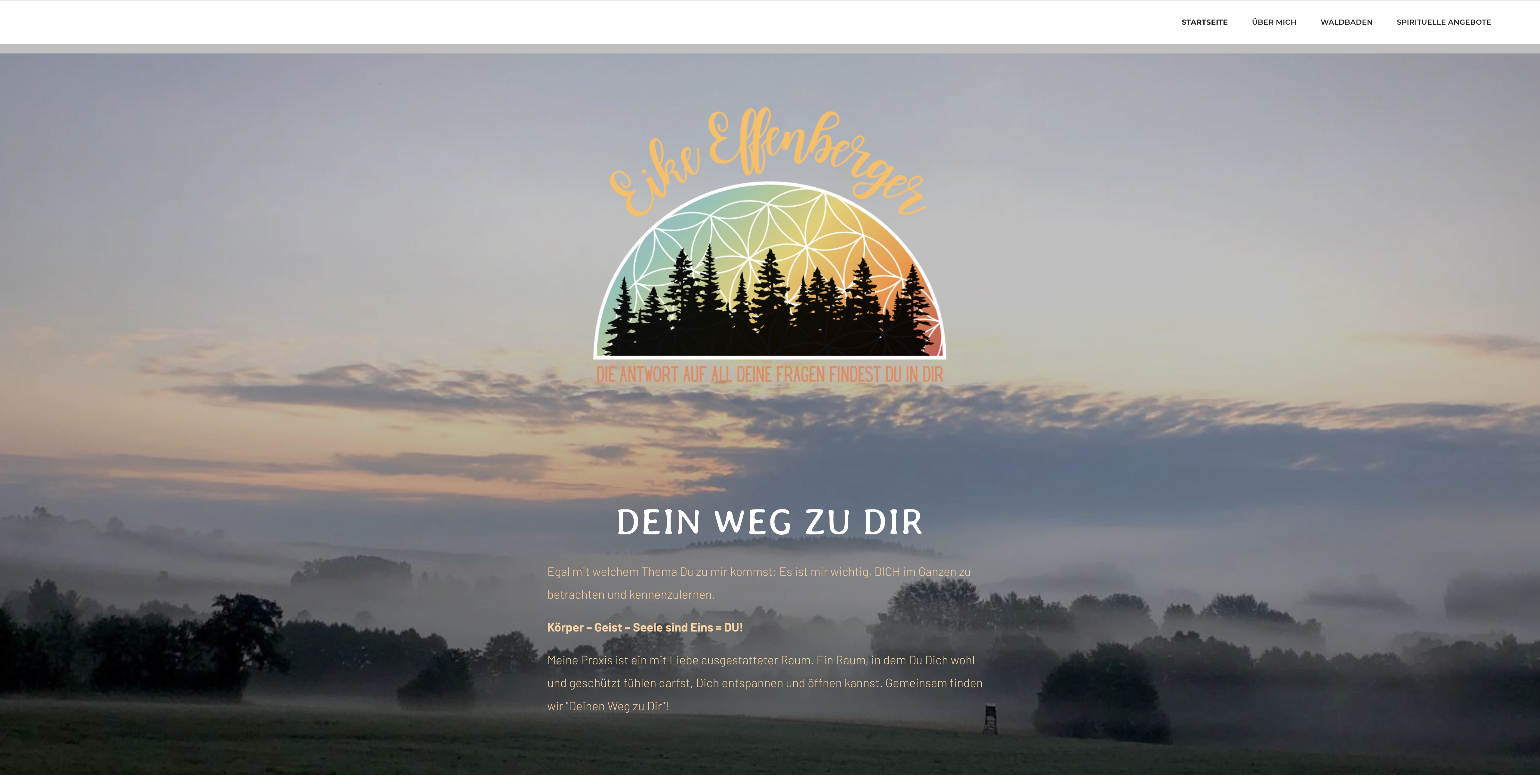 Alte Homepage von Eike Effenberger